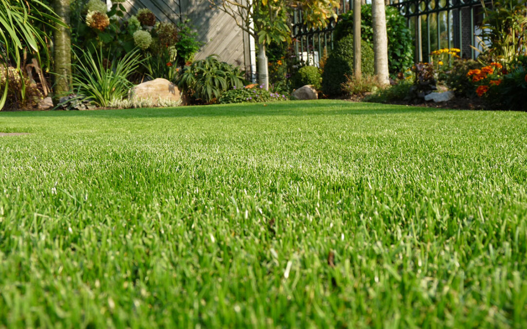 turf laying sydney