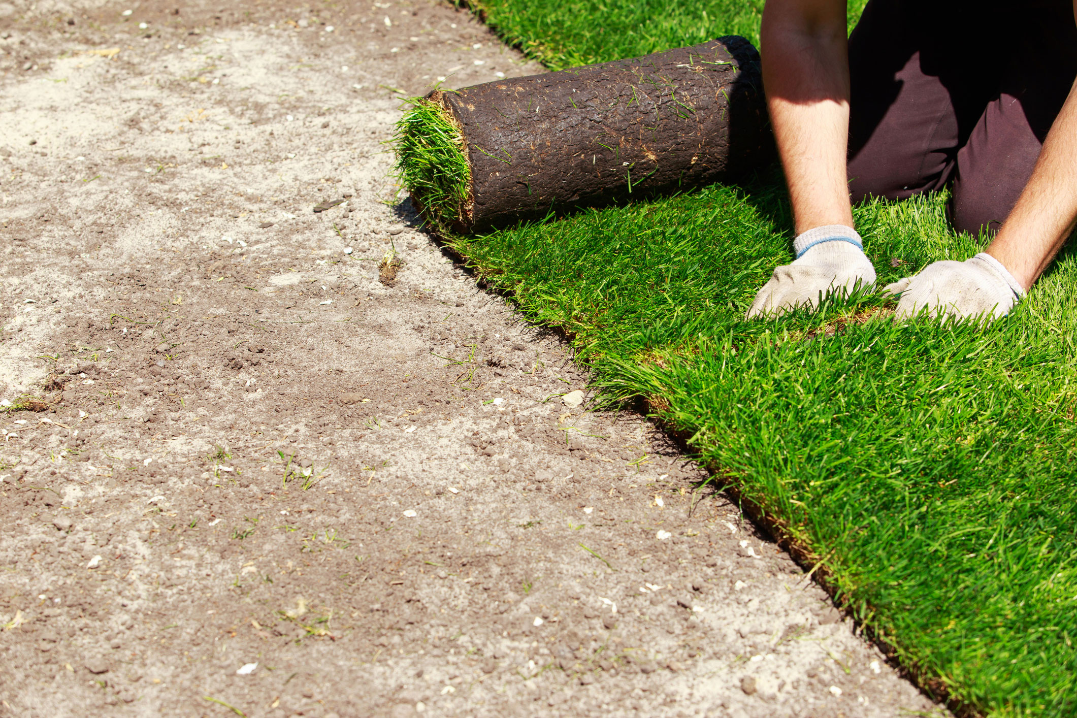 turf laying in Campbelltown
