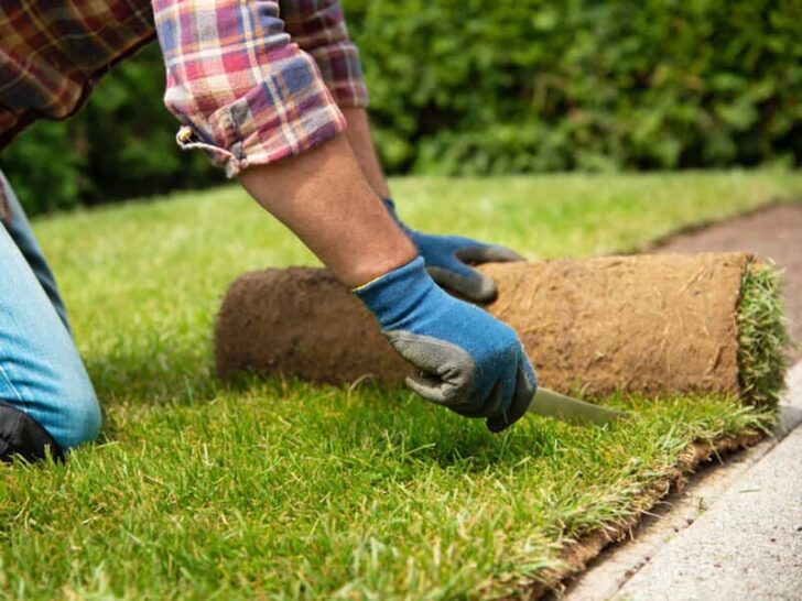 turf installation